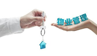 工厂物业管理的全面实践与优化建议